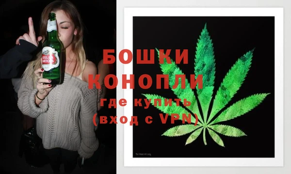 индика Горно-Алтайск