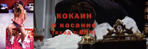 индика Горно-Алтайск