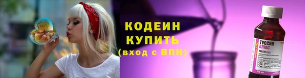 индика Горно-Алтайск