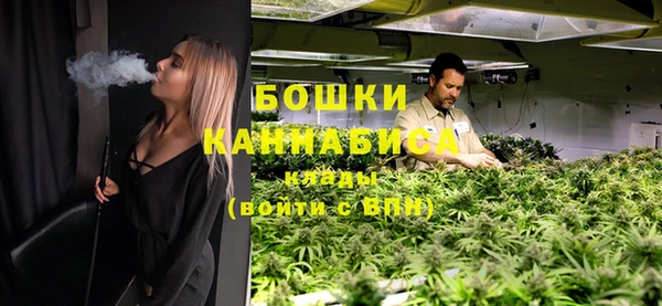 индика Горно-Алтайск