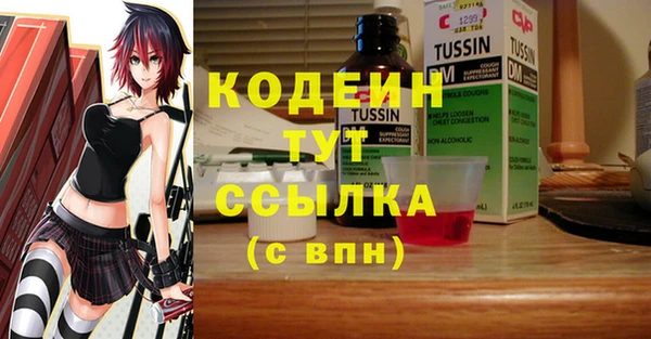 индика Горно-Алтайск