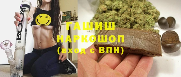 индика Горно-Алтайск