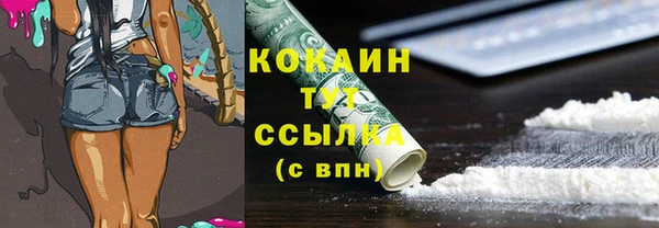 индика Горно-Алтайск